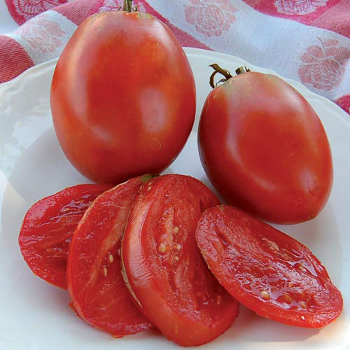 Shop Tomatoes
