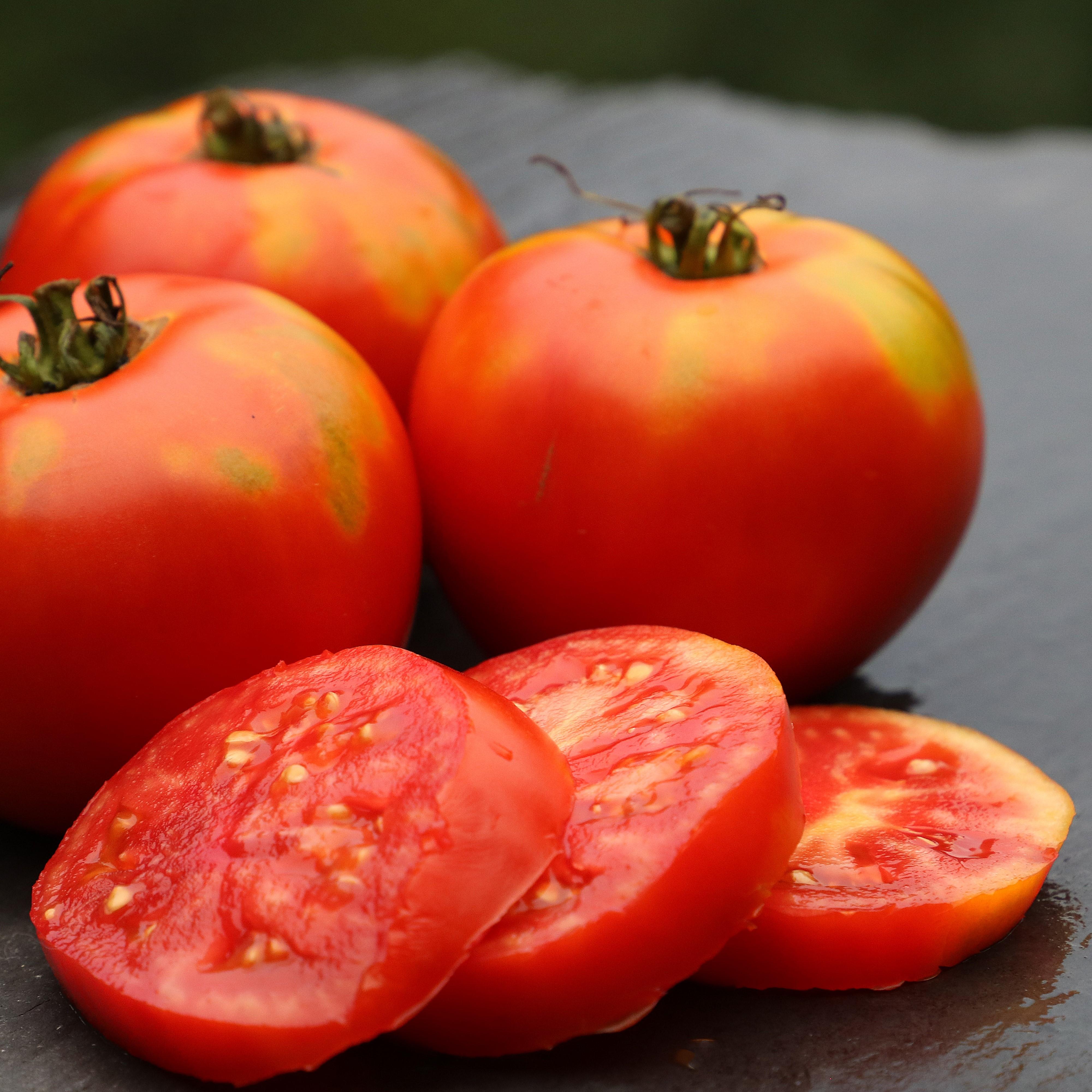 Baker Family Heirloom Tomato