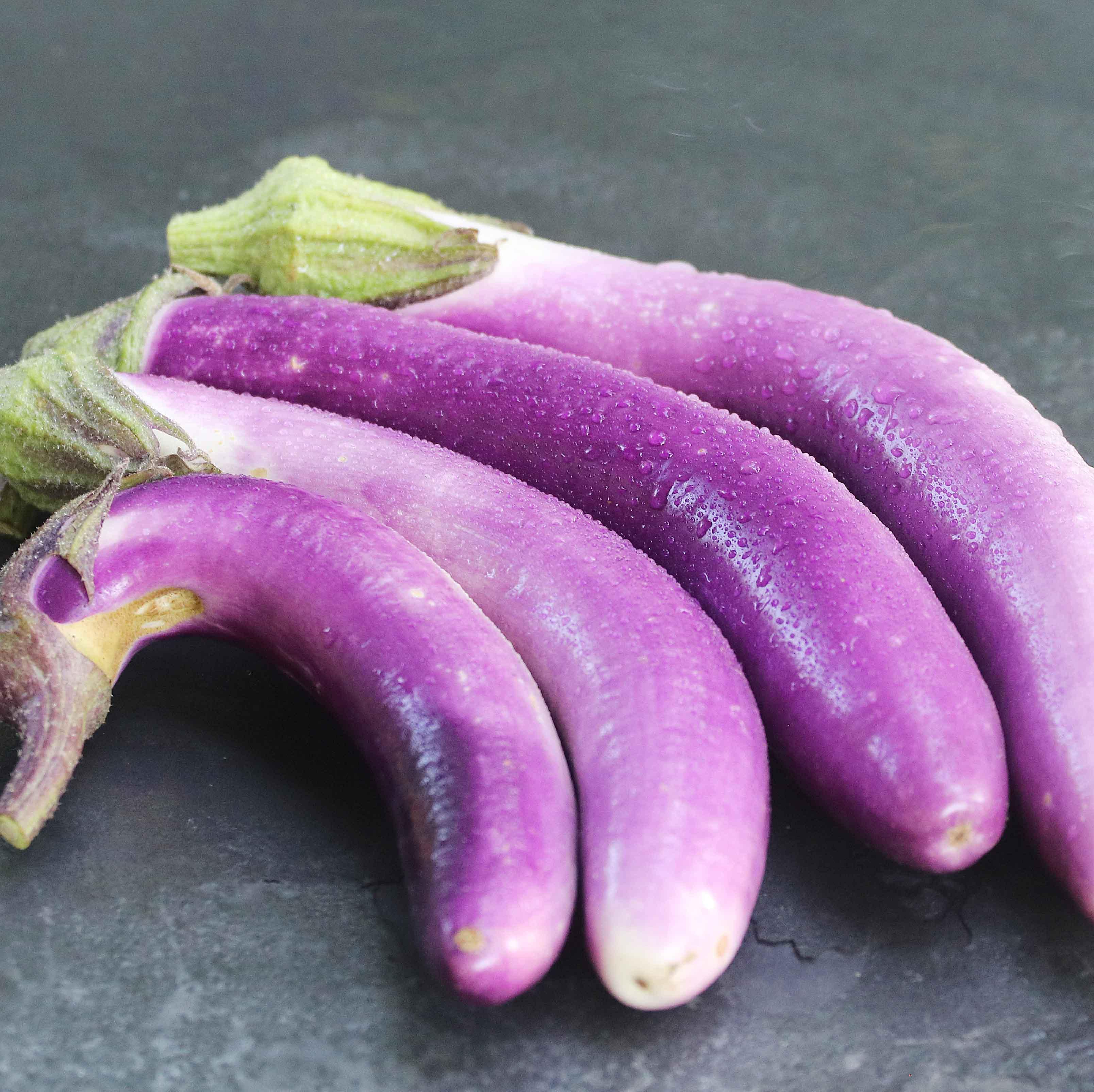 Pingtung Long eggplant
