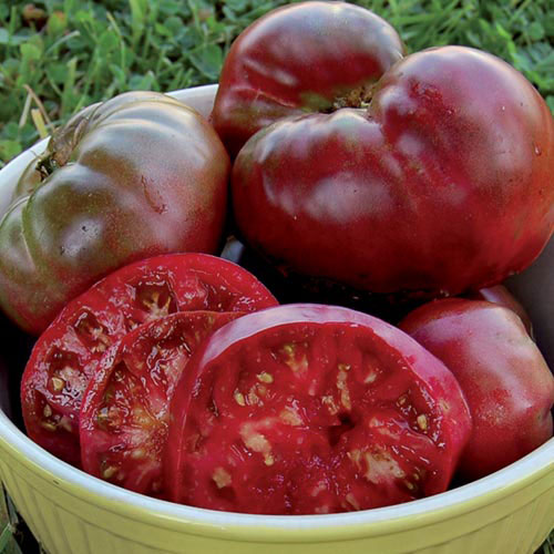 How Tall Do Black Krim Tomatoes Grow 