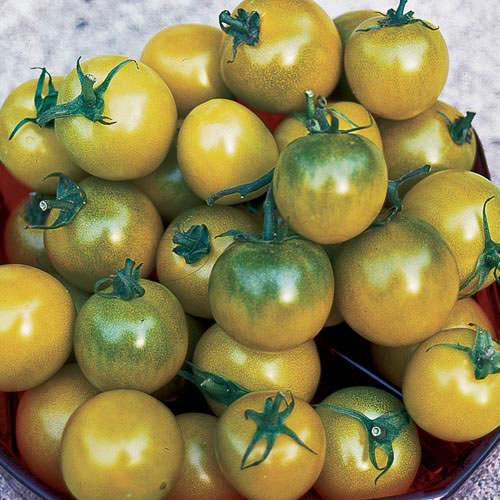 GREEN GRAPE Tomato Seeds 20 Combined S&H 
