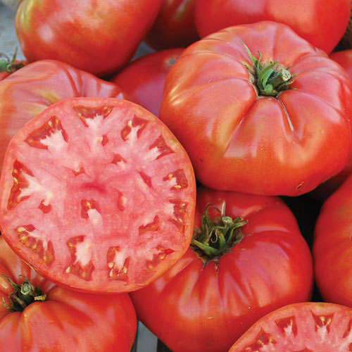 Details about   100 Pcs Seeds Giant Tomato Beefsteak Heirloom Organic Fresh Vegetables Garden 