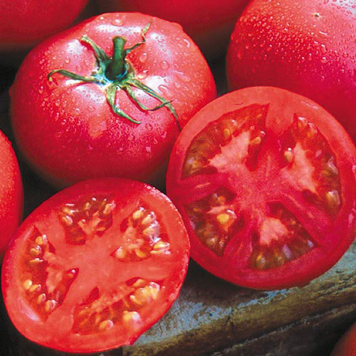 Eva Purple Ball tomato