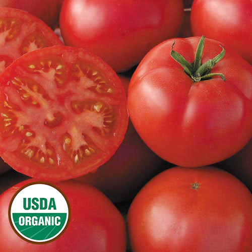Tomato, Redfield Beauty